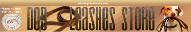 DOG_LEASHES_STORE