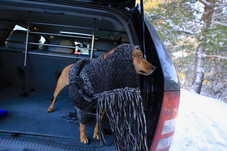 Pet Liner Cargo Liners